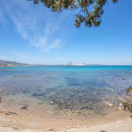 Trilo 6 Апартаменты