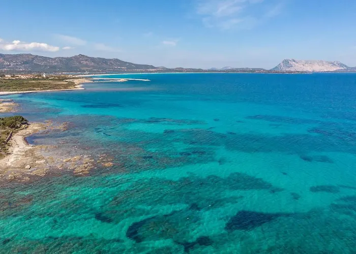 Апартаменты Trilo 6